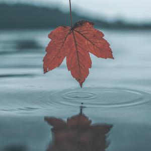 手抓超级大欧派网站
